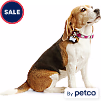 YOULY Geo Print Reflective Dog Collar