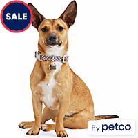 YOULY Multicolored Reflective Dog Collar