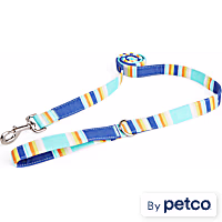 YOULY Blue & Orange Stripe Dog Leash