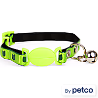 YOULY Neon Kitten & Cat Collar
