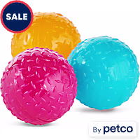 Leaps & Bounds Romp & Run Glow-In-The-Dark Bouncy Ball Dog Toy in Various Colors