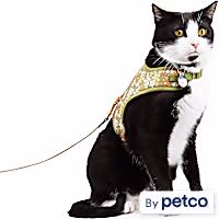 YOULY Retro Floral Cat Harness Set