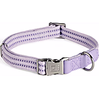 Reddy Webbed Dog Collar