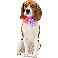 YOULY Flower Collar Accessory for Dogs