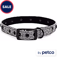 YOULY Black Stud Dog Collar