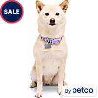 YOULY Butterfly Dog Collar
