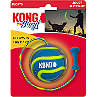 KONG Bunji High-Viz Ball Assorted Dog Toy