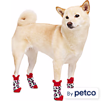 YOULY Leopard Print Dog Socks