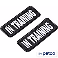YOULY In Training Service Dog Patch for Tactical Harness