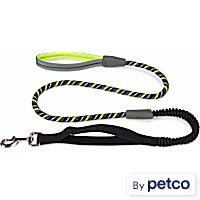 YOULY Adventure Shock-Absorbing Dog Leash