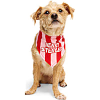 YOULY Heart Stealer Dog Bandana