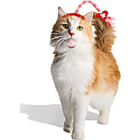 YOULY Valentine's Day Cat Headpiece