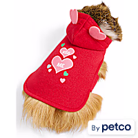 YOULY Valentine's Day Small Animal Hoodie