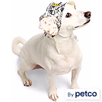 YOULY Pop Art Smiley Pet Bucket Hat