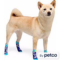 YOULY Ball Is Life Dog Socks