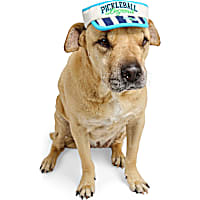YOULY Pickleball Pet Visor