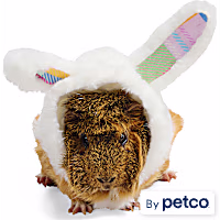 YOULY Easter Bunny Small Animal Hoodie