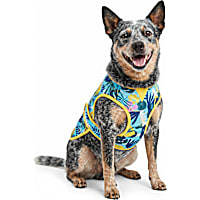 YOULY Cool-to-Touch Reversible Dog Vest