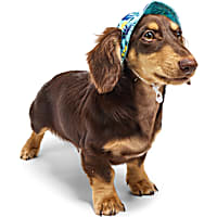 YOULY Cool-to-Touch Dog Hat