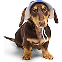 YOULY Pride Reversible Bucket Dog Hat
