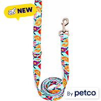 YOULY Multicolor Poppy Dog Leash