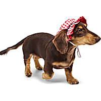 YOULY Red & White Gingham Pet Bucket Hat