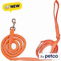 YOULY Bungee Recall Training Dog Leash