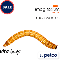 Vita-Bugs Mealworms