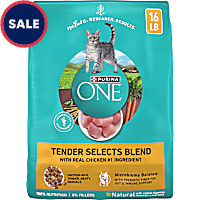 Purina ONE Tender Selects Blend With Real Chicken Natural Dry Cat Food