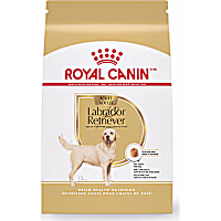 Royal Canin Breed Health Nutrition Labrador Retriever Adult Dry Dog Food