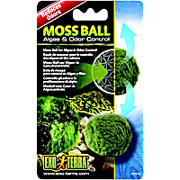 Exo-Terra Moss Ball