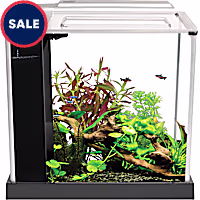 Fluval Black Spec III Aquarium Kit