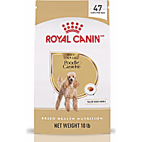 Royal Canin Breed Health Nutrition Poodle Adult Dry Dog Food
