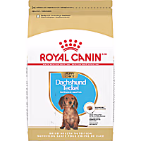 Royal Canin Breed Health Nutrition Dachshund Puppy Dry Dog Food
