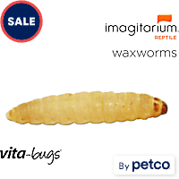 Vita-Bugs Waxworms