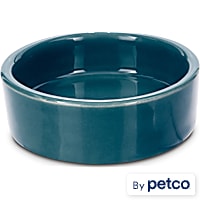 Imagitarium Ceramic Terrarium Dish for Reptiles