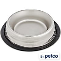 EveryYay Dining In Two-Toned No-Tip Stainless Steel Dog Bowl