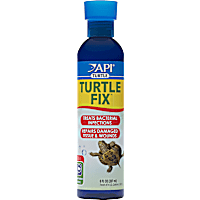 API Turtle Fix