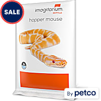 Imagitarium Frozen Hopper Mouse
