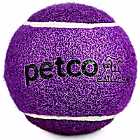 Petco Tennis Ball Dog Toy in Purple