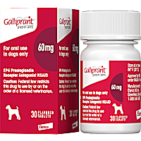 Galliprant 60 mg for Dogs