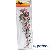 Imagitarium Hanging Red Silk Plant
