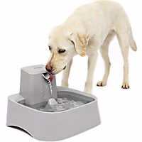 PetSafe Oasys 2 Gallon Pet Fountain