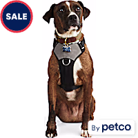 Reddy Jacquard Dog Harness