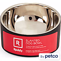 Reddy Slanted Stainless-Steel Slanted Dog Bowl