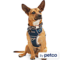 Reddy Canvas Dog Harness