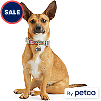 YOULY Multicolored Reflective Dog Collar