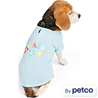 YOULY Birthday Pup Dog Tee