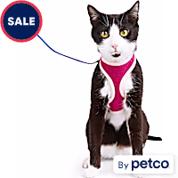 YOULY Mesh Cat Harness & Leash Set