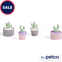 Imagitarium 4-piece Succulent Accents